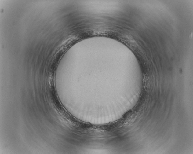 X0000088210648200706121806