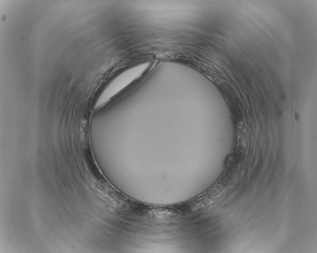 X0000088210650200706121806