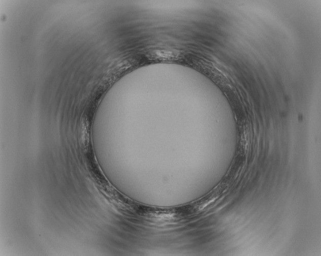 X0000088210651200706121806