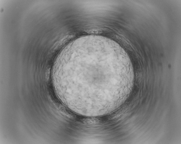 X0000088210652200706121806