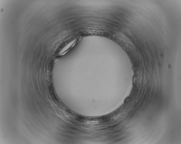 X0000088210653200706121806