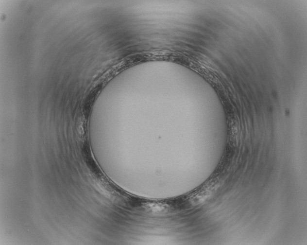 X0000088210654200706121806