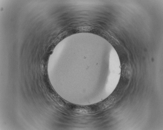 X0000088210655200706121806