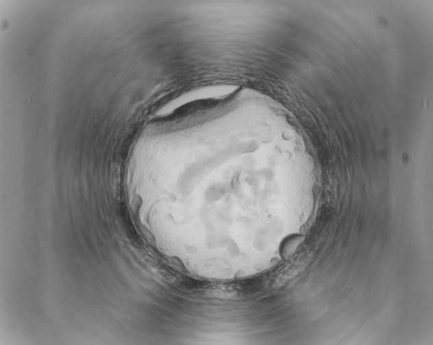 X0000088210656200706121806