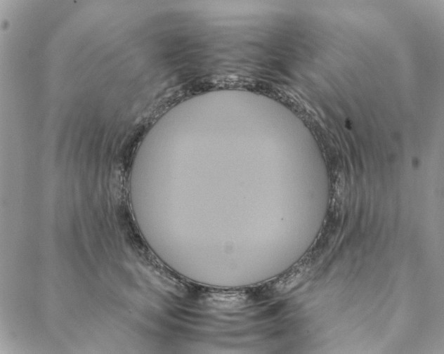 X0000088210659200706121806