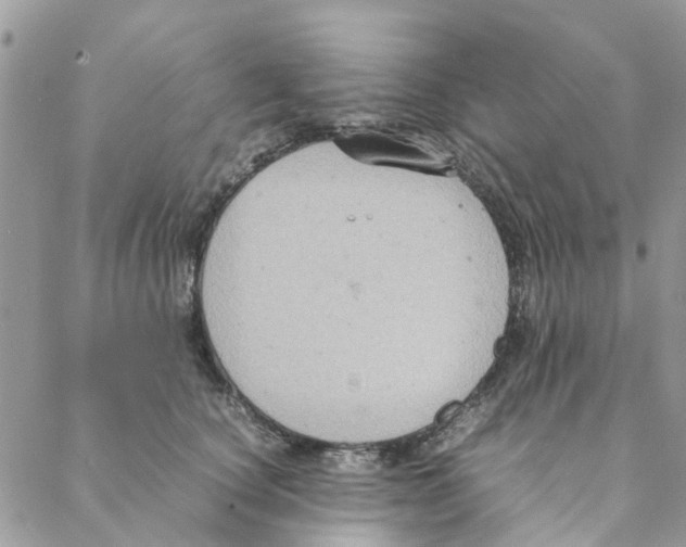 X0000088210660200706121806