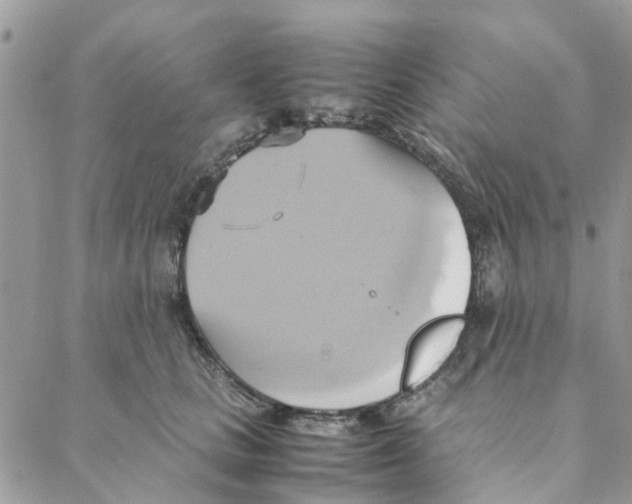 X0000088210661200706121807