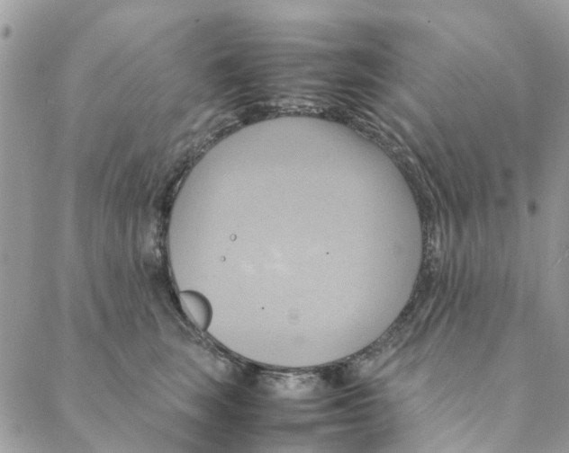 X0000088210663200706121807