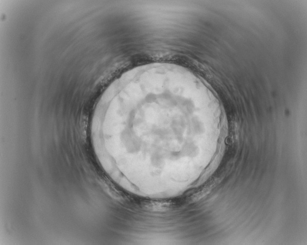 X0000088210664200706121807