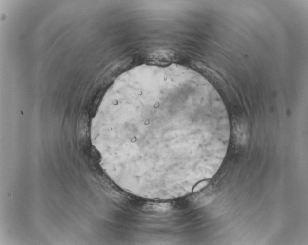 X0000088210665200706121807