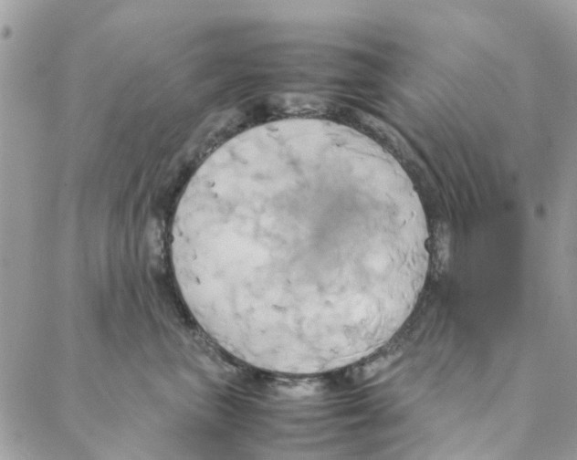 X0000088210667200706121807