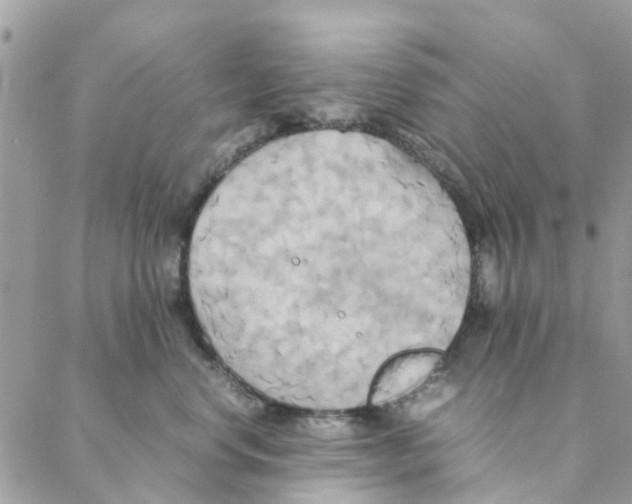 X0000088210668200706121807