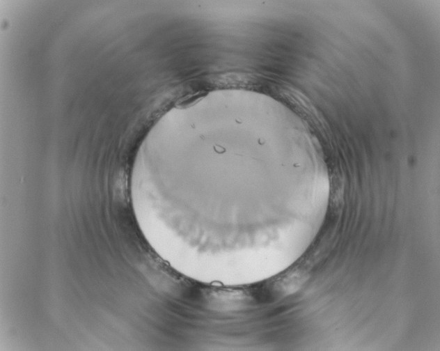 X0000088210669200706121807