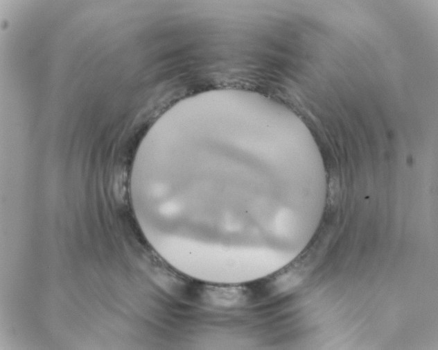 X0000088210671200706121807