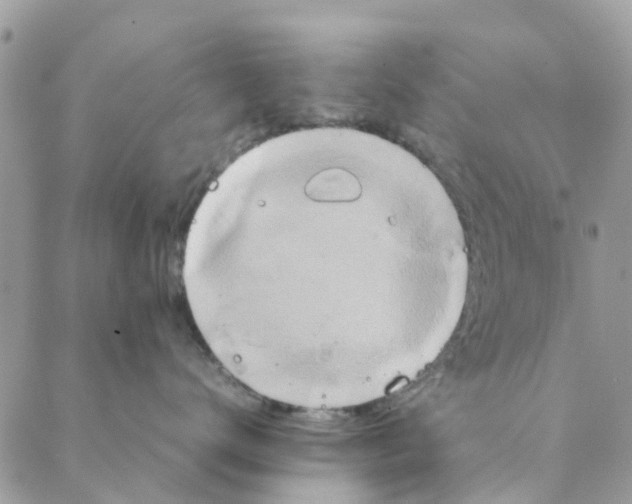 X0000088210672200706121807