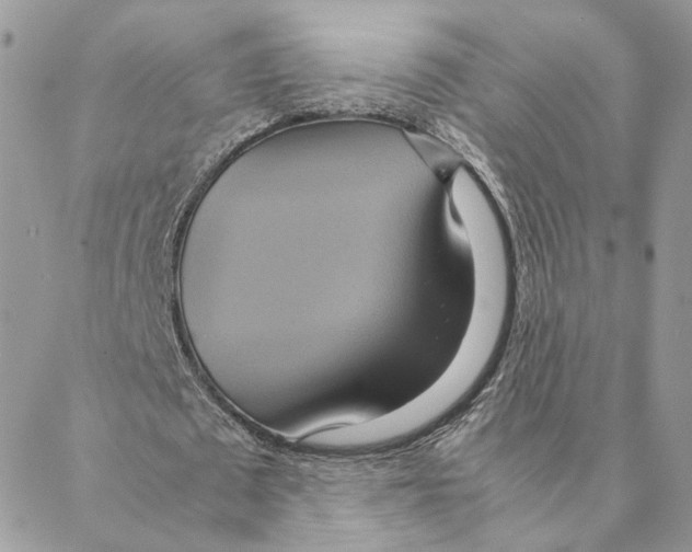 X0000088210673200706121806