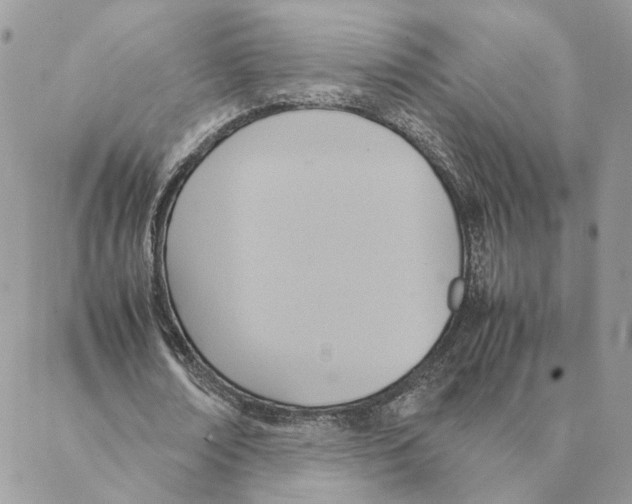 X0000088210674200706121806