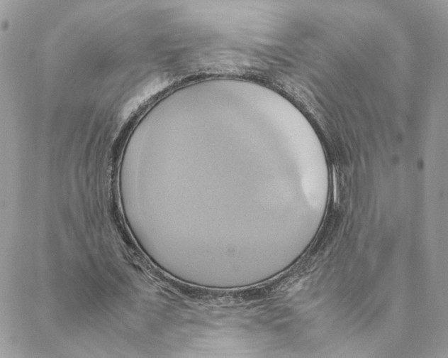 X0000088210675200706121806