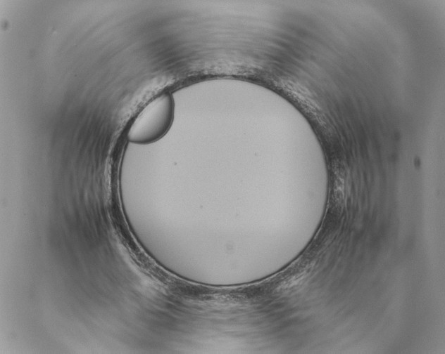 X0000088210678200706121806