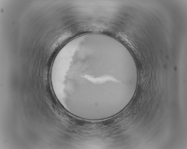 X0000088210679200706121806