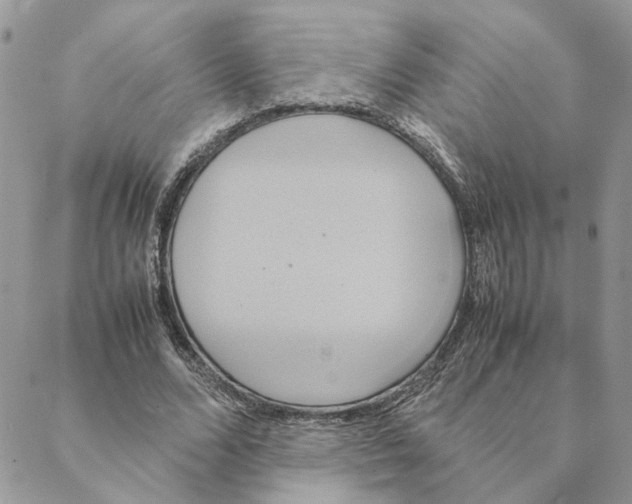 X0000088210680200706121806