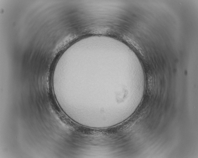 X0000088210682200706121806