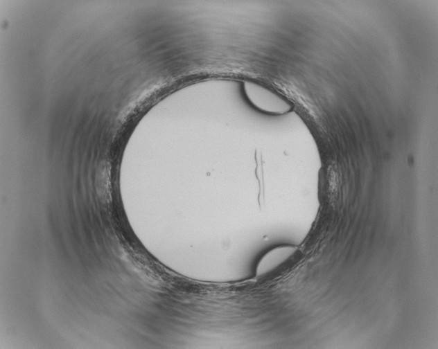 X0000088210684200706121806