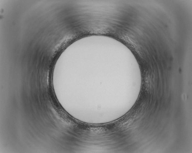 X0000088210686200706121806