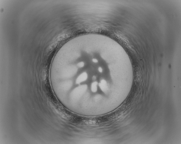 X0000088210687200706121806