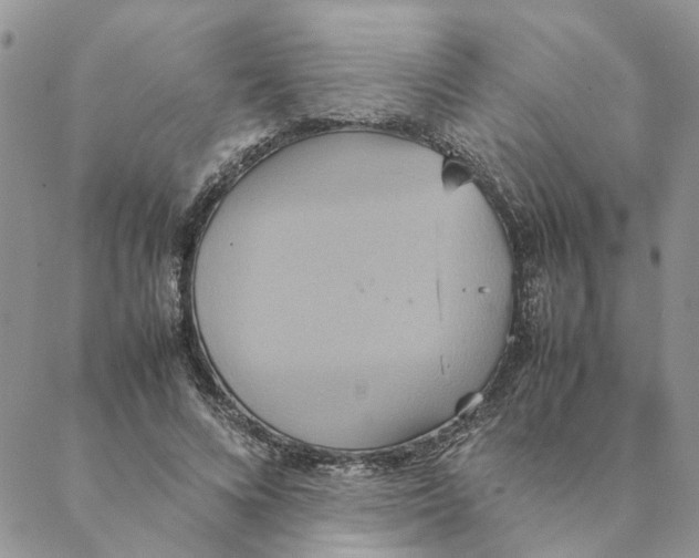 X0000088210688200706121806