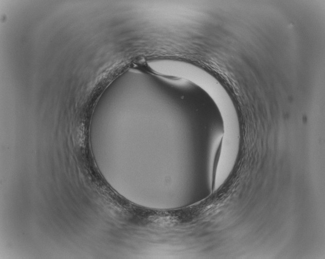 X0000088210689200706121806