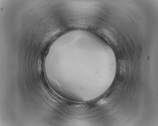 X0000088210692200706121806