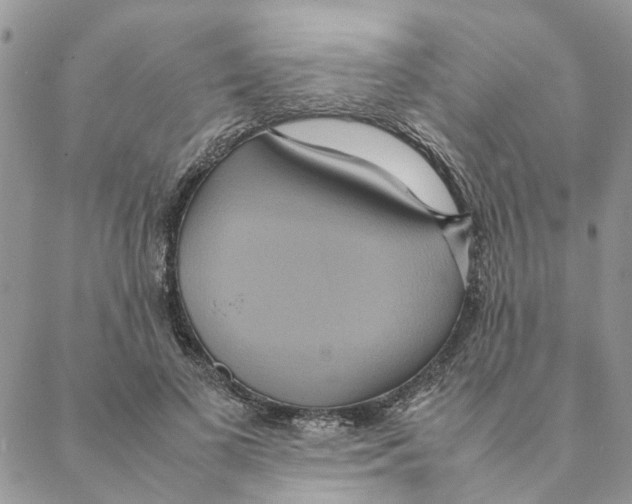 X0000088210693200706121806