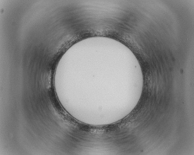 X0000088210694200706121806