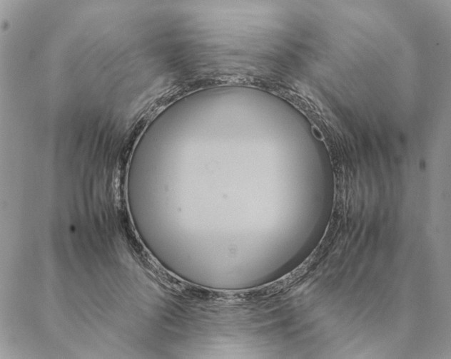 X0000088210696200706121806