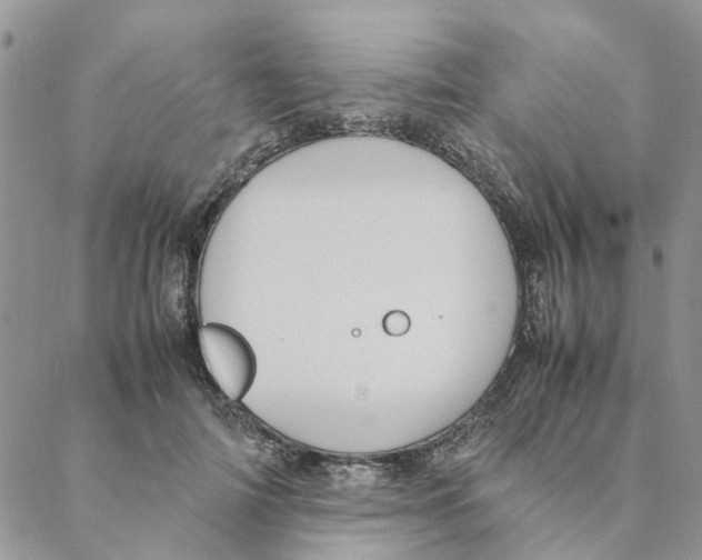 X0000088210698200706121806