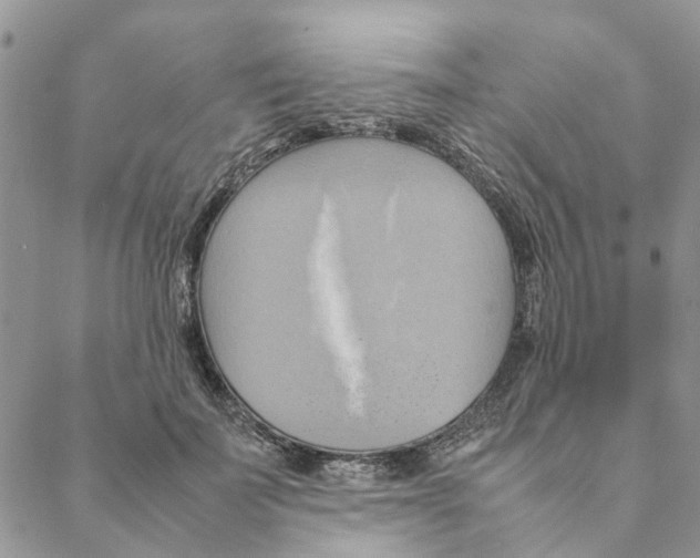 X0000088210699200706121805