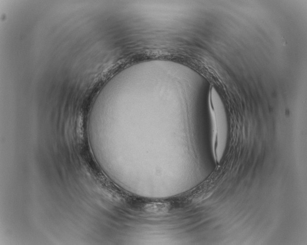 X0000088210700200706121805