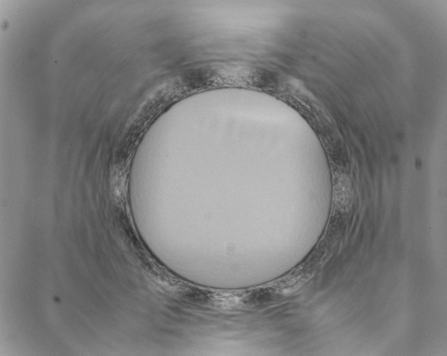 X0000088210701200706121805