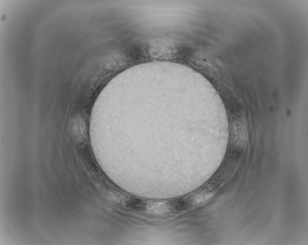 X0000088210705200706121805