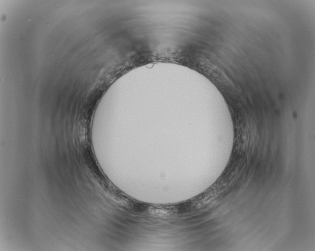 X0000088210706200706121805