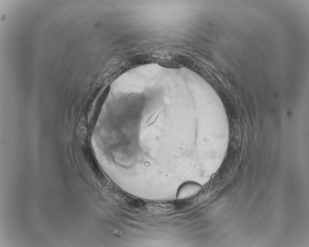 X0000088210707200706121805