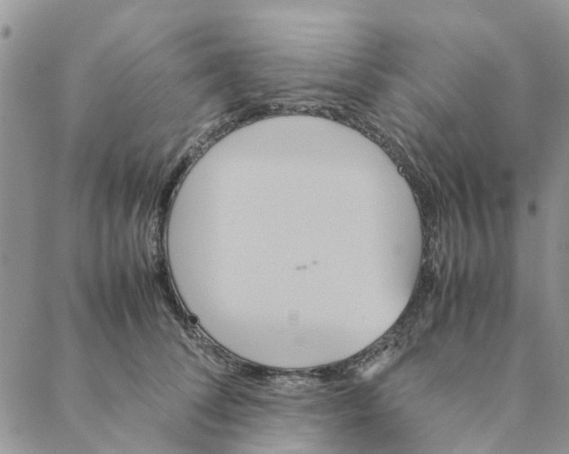 X0000088210708200706121805