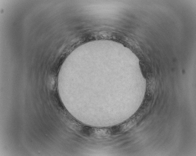 X0000088210709200706121805