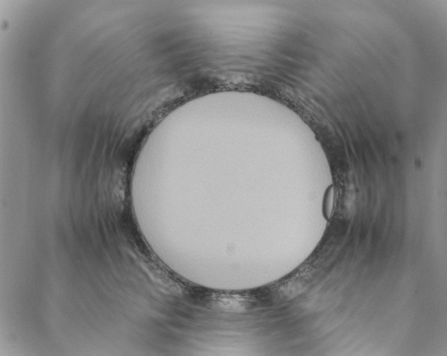 X0000088210710200706121805