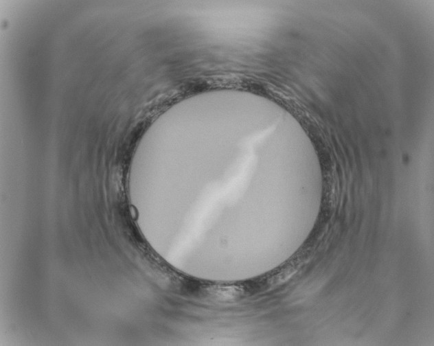 X0000088210711200706121805