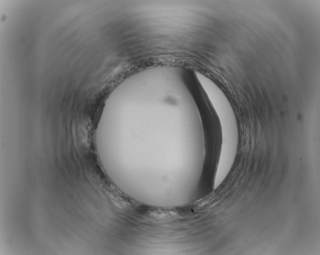 X0000088210712200706121805