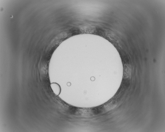 X0000088210713200706121805