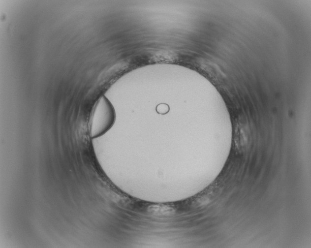 X0000088210714200706121805