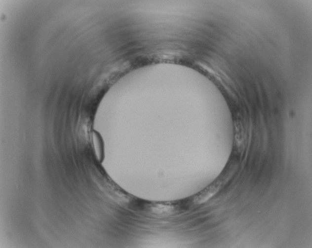 X0000088210718200706121805